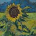 Single Sunny, 9x12, oil, $375