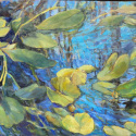 Six Mile Cypress Slough, FLA, 18x24 oil on canvas $575